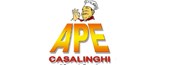 APE CASALINGHI