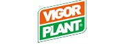 VIGOR PLANT